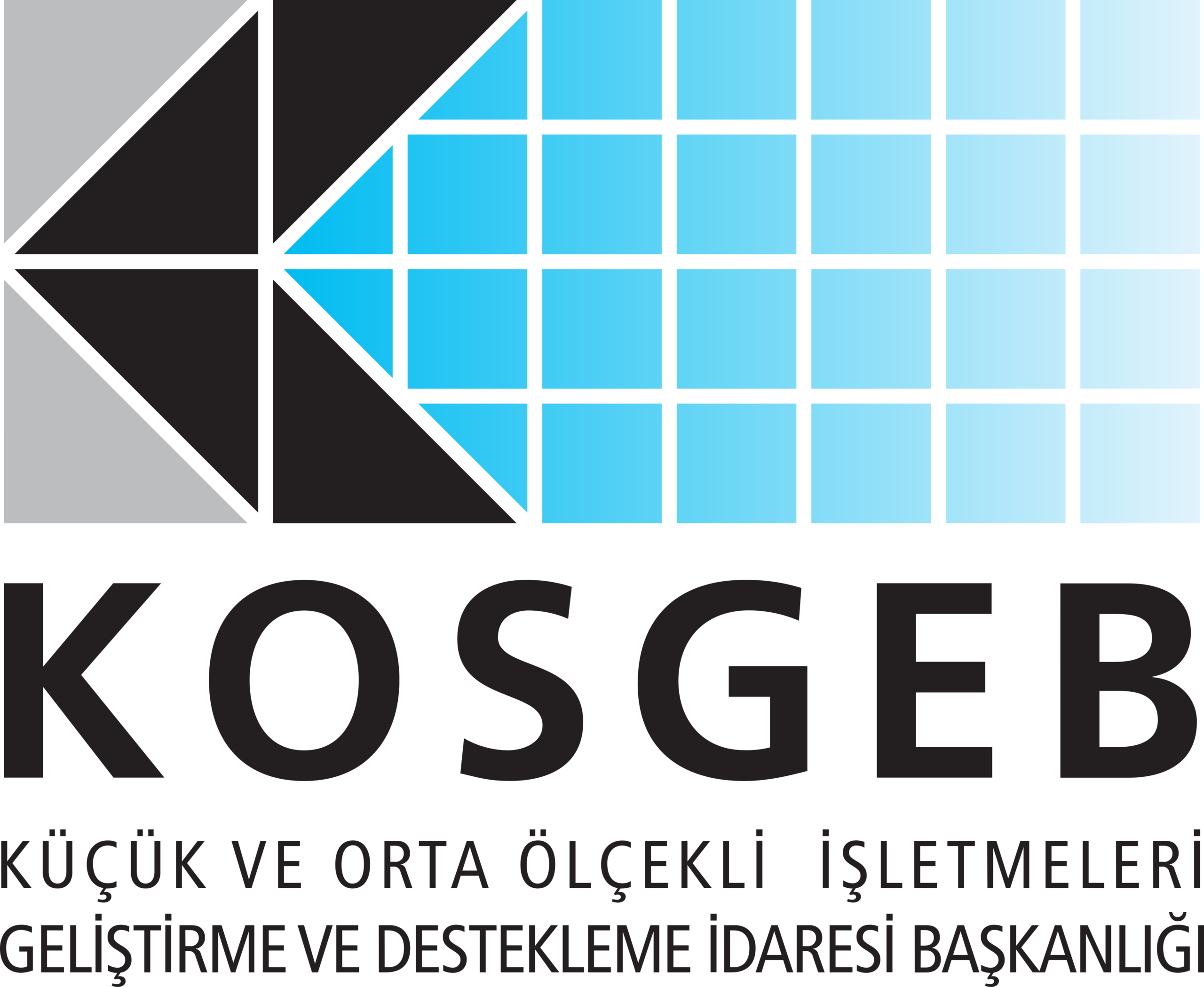 KOSGEB